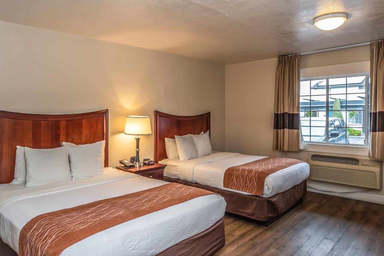 מונטריי Blu Pacific Hotel מראה חיצוני תמונה
